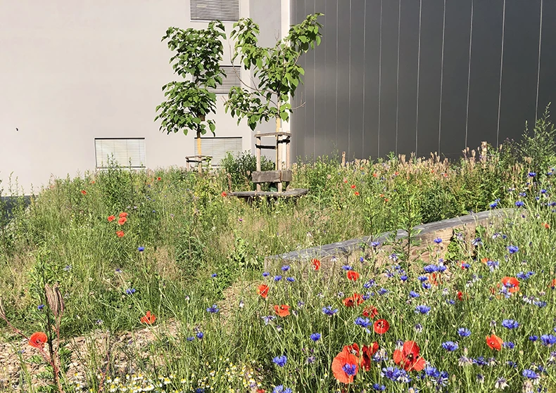 Ein Foto vom H2O Garten mit bunten Blumen und einer kleinen Holzbank