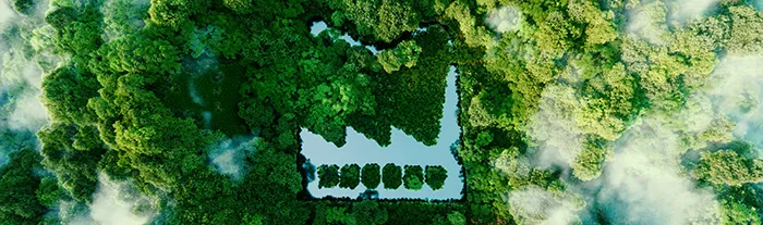Forest from above with a lake shaped like an industrial symbol